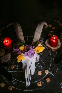 Boynuzlu beyaz keçi kafatası, çiçekler, açık eski kitaplar, cadı masasında mumlar. Esrarengiz, esrarengiz, kehanet ve cadı kavramı. Cadılar Bayramı, ölüm günü konsepti