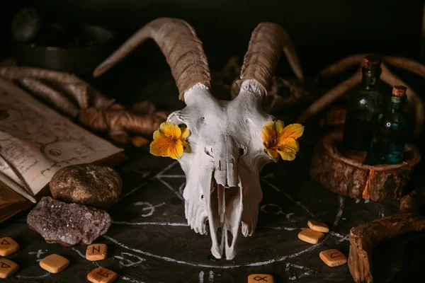 Scull Cabra Branca Com Chifres Flores Livro Velho Aberto Velas — Fotografia de Stock