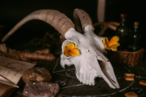 Scull Cabra Branca Com Chifres Flores Livro Velho Aberto Velas — Fotografia de Stock