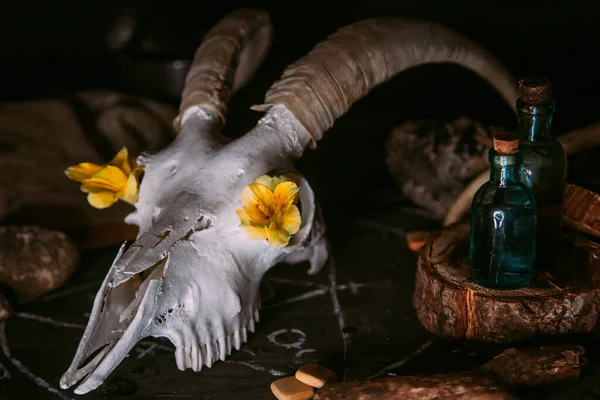 Chèvre Blanche Avec Cornes Fleurs Vieux Livre Ouvert Bougies Sur — Photo