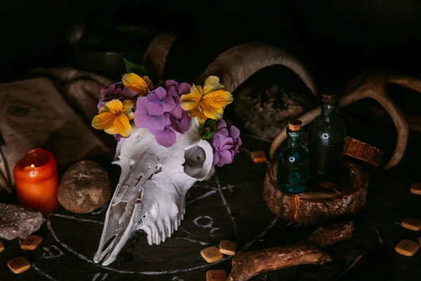 Scull Cabra Branca Com Chifres Flores Livro Velho Aberto Velas — Fotografia de Stock