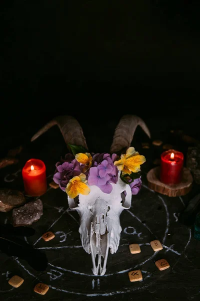 Scull Cabra Branca Com Chifres Flores Livro Velho Aberto Velas — Fotografia de Stock