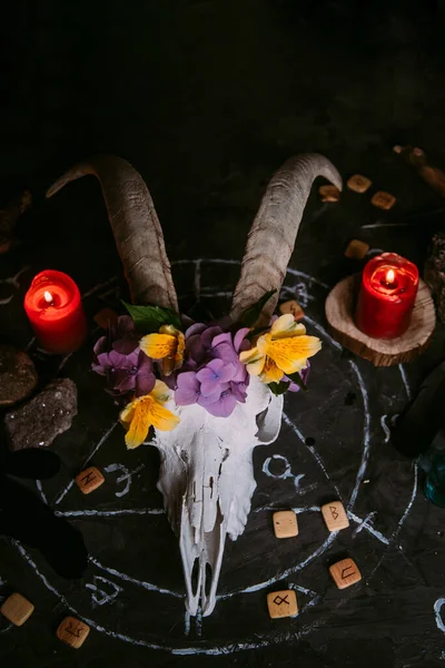 Scull Cabra Branca Com Chifres Flores Livro Velho Aberto Velas — Fotografia de Stock