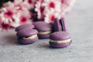 Kurabiyeler. Lezzetli Fransız tatlıları. Çiçekli kurabiyeler. Masada mor badem kurabiyeleri var.