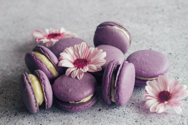 Kurabiyeler. Lezzetli Fransız tatlıları. Çiçekli kurabiyeler. Masada mor badem kurabiyeleri var.