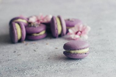 Kurabiyeler. Lezzetli Fransız tatlıları. Çiçekli kurabiyeler. Masada mor badem kurabiyeleri var.
