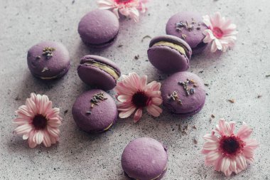 Kurabiyeler. Lezzetli Fransız tatlıları. Çiçekli kurabiyeler. Masada mor badem kurabiyeleri var.