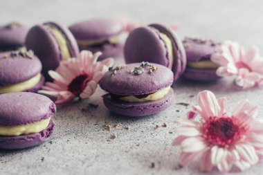 Kurabiyeler. Lezzetli Fransız tatlıları. Çiçekli kurabiyeler. Masada mor badem kurabiyeleri var.