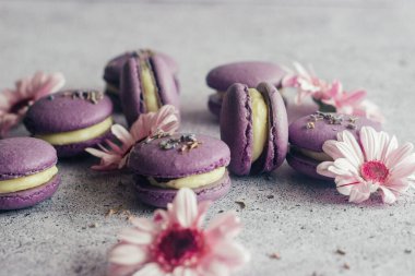 Kurabiyeler. Lezzetli Fransız tatlıları. Çiçekli kurabiyeler. Masada mor badem kurabiyeleri var.