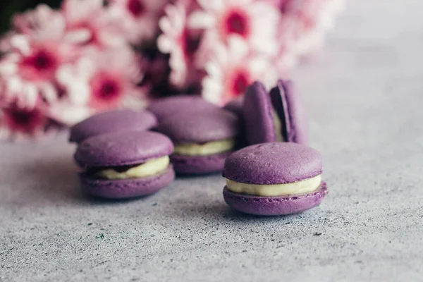 Macaroons. Delicious french desserts. Macaroons with flowers. Purple macaroons on the table