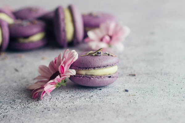 Macarrones Deliciosos Postres Franceses Macarrones Con Flores Macarrones Morados Mesa — Foto de Stock