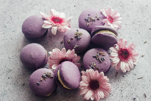 Des Macarons Délicieux Desserts Français Macarons Aux Fleurs Macarons Violets — Photo