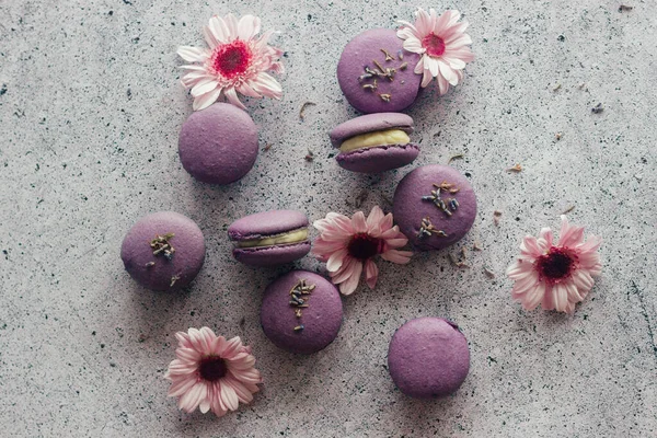 Makronen Köstliche Französische Desserts Makronen Mit Blüten Lila Makronen Auf — Stockfoto