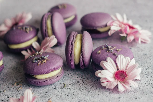 Macaroons Delicious French Desserts Macaroons Flowers Purple Macaroons Table — Stock Photo, Image