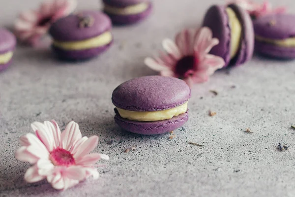 Macaroons Hidangan Penutup Perancis Yang Lezat Macaroons Dengan Bunga Makaroni — Stok Foto