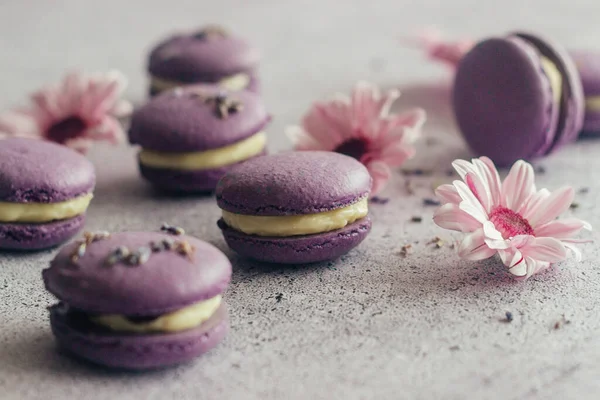 Macaroons Hidangan Penutup Perancis Yang Lezat Macaroons Dengan Bunga Makaroni — Stok Foto