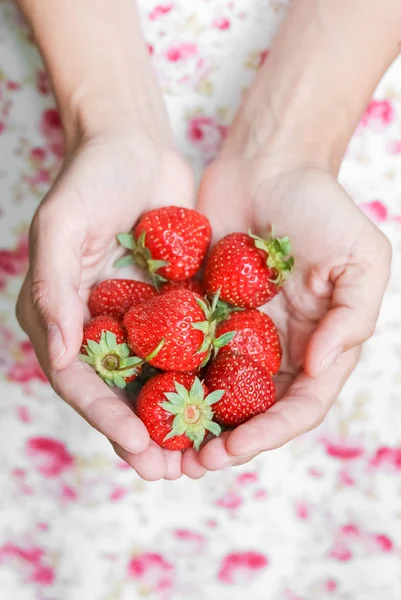 Çilek el avuç avuç. Çilek elinde