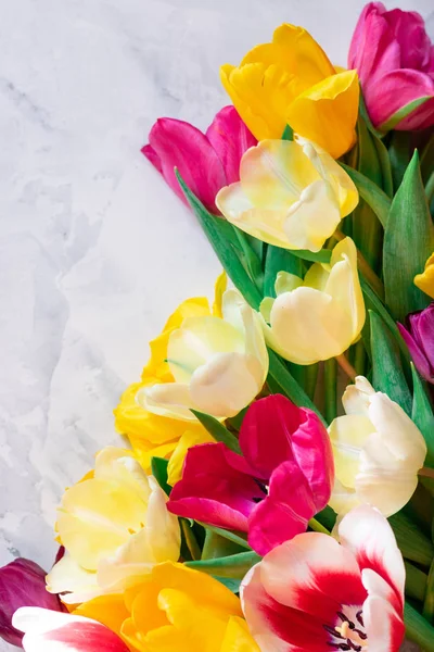 Lale buketi. Lale gri bir arka plan üzerinde çerçeve.