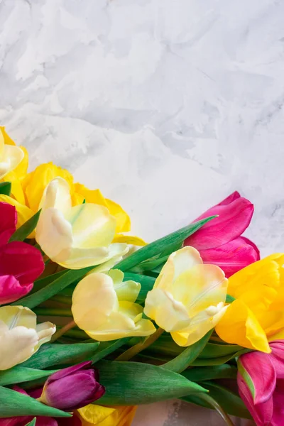 Lale gri bir arka plan üzerine çerçeve. Lale buketi.