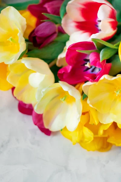 Çok renkli Lale ile arka plan bulanık