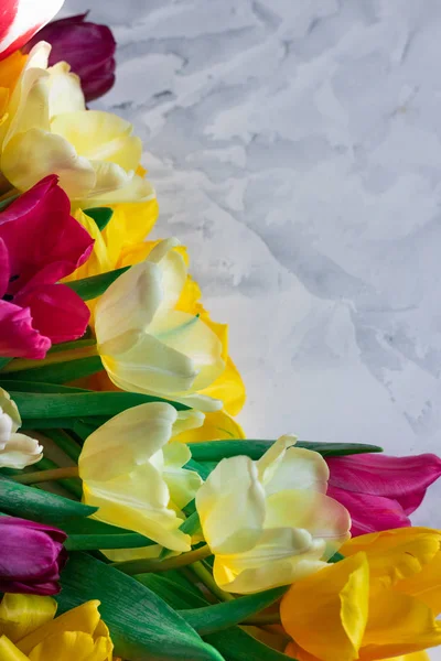 Lale gri bir arka plan üzerine çerçeve. Lale buketi.