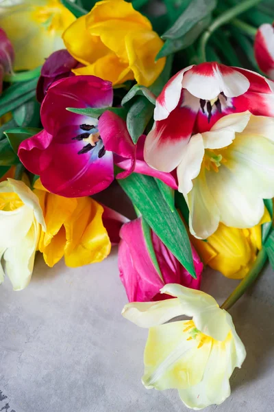 çok renkli Lale buketi.