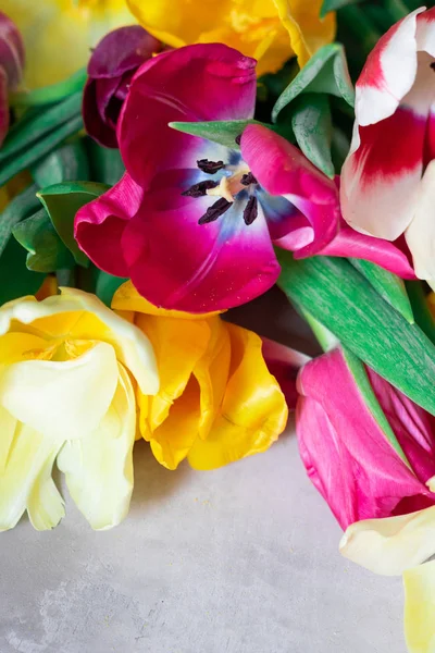 çok renkli Lale buketi.