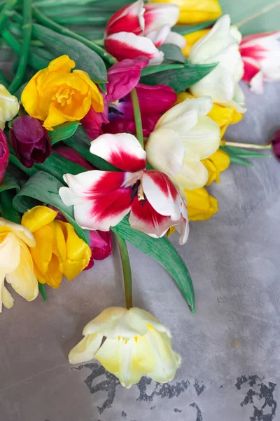 çok renkli Lale buketi.