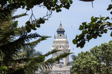 Lima katedralinin kubbesi ağaçlar arasında görünüyor.