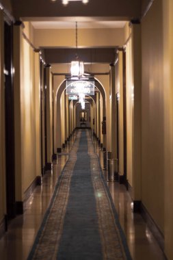 Bir otelin uzun koridorunda halı.
