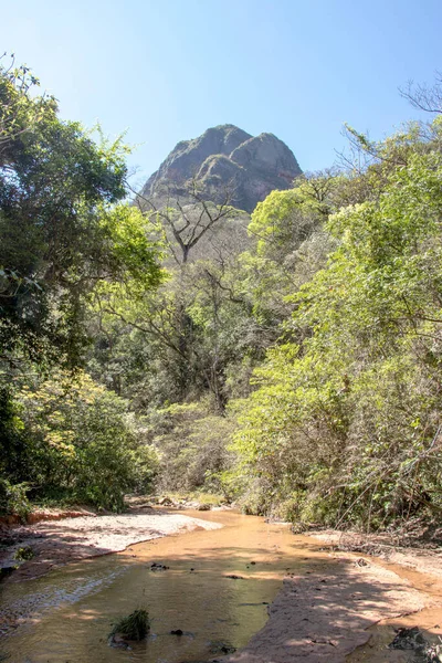 River Trees Mountains Bolivian Jungle — Stock Photo, Image