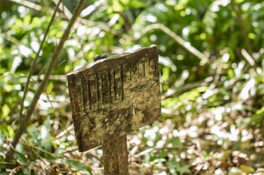 Ormandaki tahta tabela mesafeyi gösteriyor.