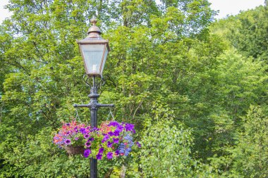 Ampul direğinde asılı renkli çiçekler