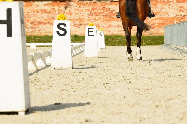 Paardrijden stabiel, informatie rails voor renners. — Stockfoto