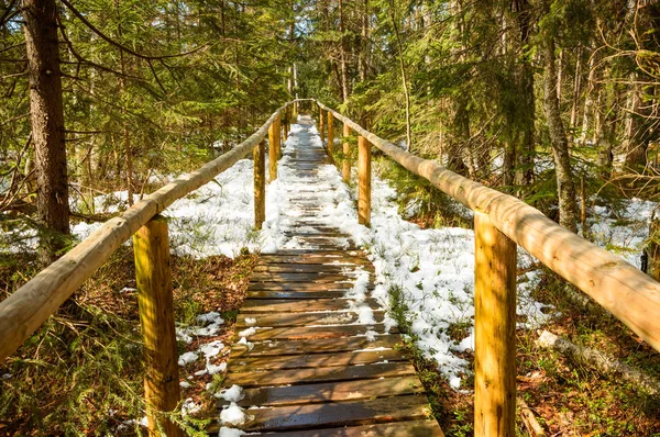 Un camino de madera en un pantano cubierto de nieve — Foto de Stock
