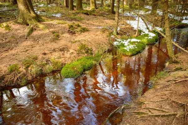 Brown stream in the forest, bog.