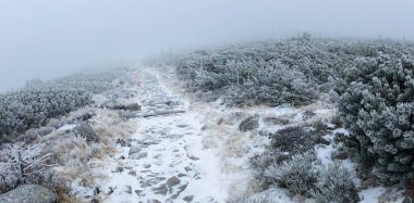 Lehçe kış manzara dağlar, karla kaplı dağlar ve bitki örtüsü, bir turist iz Karkonosze içinde.