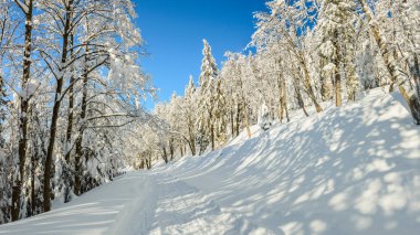 Lehçe kış manzara dağlar, karlı ağaçlar ve yollar.