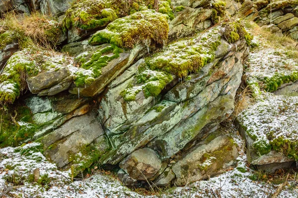 Rocks overgrown with moss, a harsh climate in winter.