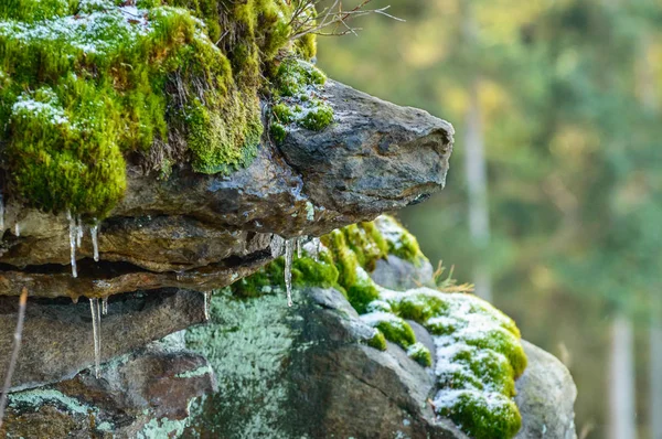 Rocks overgrown with moss, a harsh climate in winter.