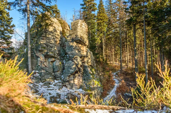 Камни на туристической тропе в лесу . — стоковое фото