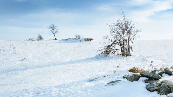 Paesaggio invernale in una giornata di sole in collina . — Foto Stock