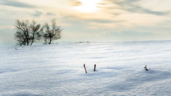 Paesaggio invernale in una giornata di sole in collina . — Foto Stock