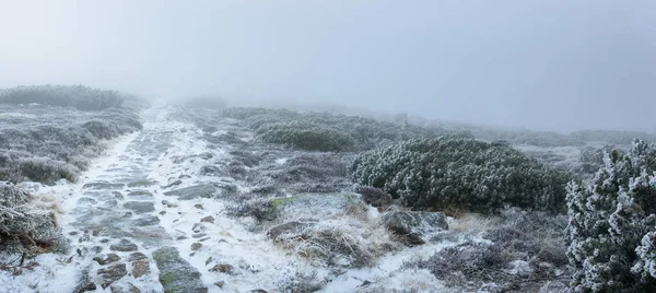 Poolse winterlandschap in de bergen, met sneeuw bedekte bergen en vegetatie, een toeristische route in Reuzengebergte. — Stockfoto