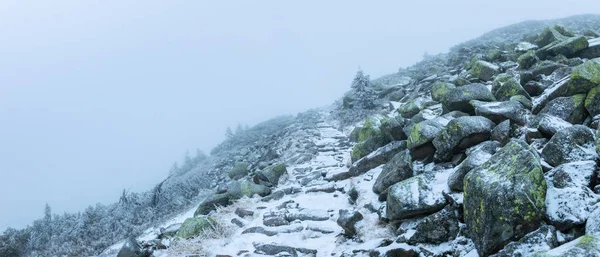 Lehçe kış manzara dağlar, karla kaplı dağlar ve bitki örtüsü, bir turist iz Karkonosze içinde. — Stok fotoğraf