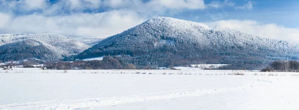 Польский зимний пейзаж в горах, снежные деревья . — стоковое фото