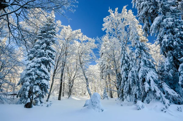 Polish Winter landscape in the mountains, snowy trees and roads. — Stock Photo, Image