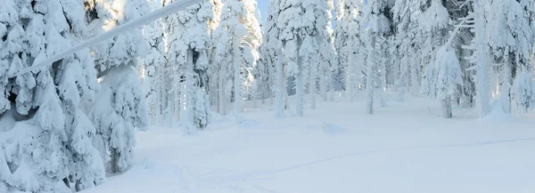 Polský zimní krajina v horách, zasněžené stromy a silnice. — Stock fotografie