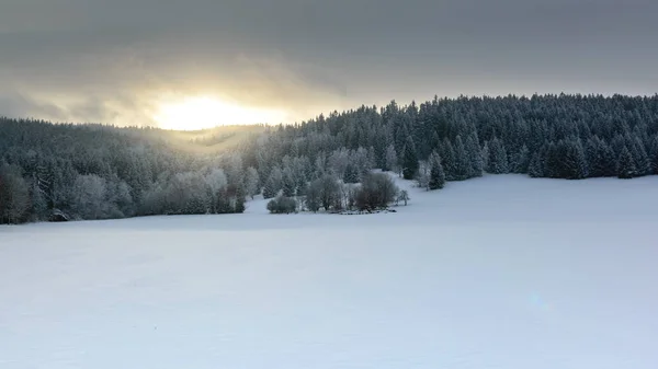 Польский зимний пейзаж в горах, снежные деревья и поля . — стоковое фото
