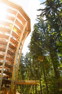 Stezka Korunami Stromu, ahşap yapılı yüksek gözetleme kulesi.